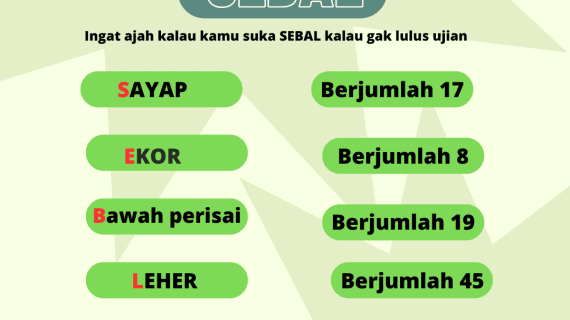 (Garansi 100% Uang Kembali)